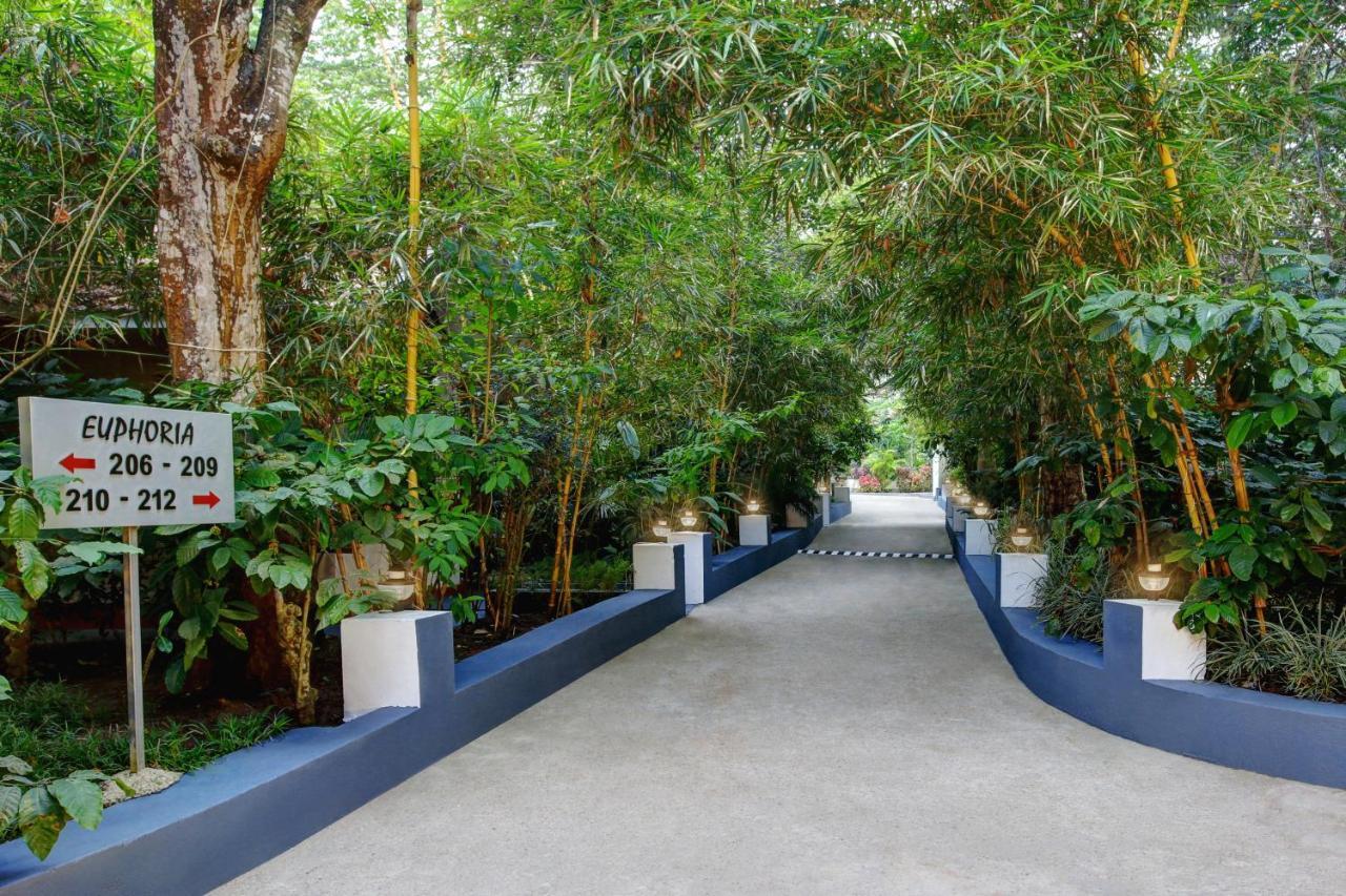 Gokulam Grand Resort & Spa, Coorg Kushālnagar Eksteriør bilde